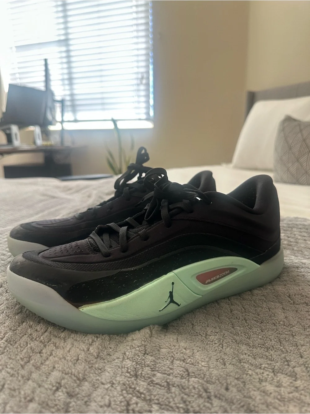 Nike Zion 4 Jordan Men’s Black and Mint Green Air Zoom